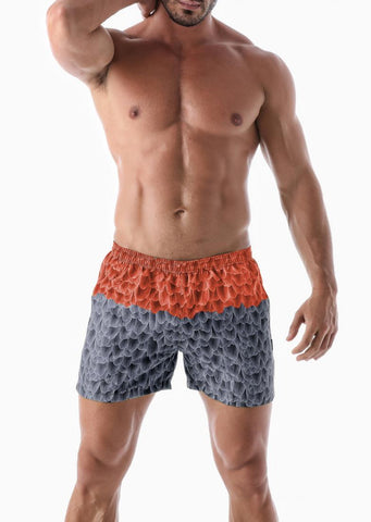Short de bain modèle  2027p1